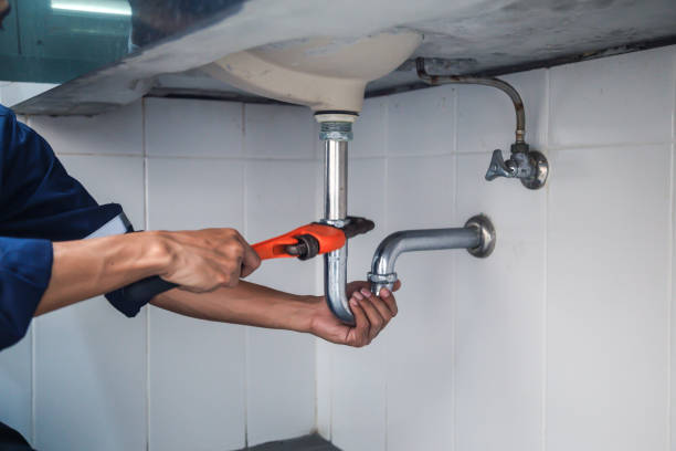 Best Local Plumber Services  in Poteet, TX